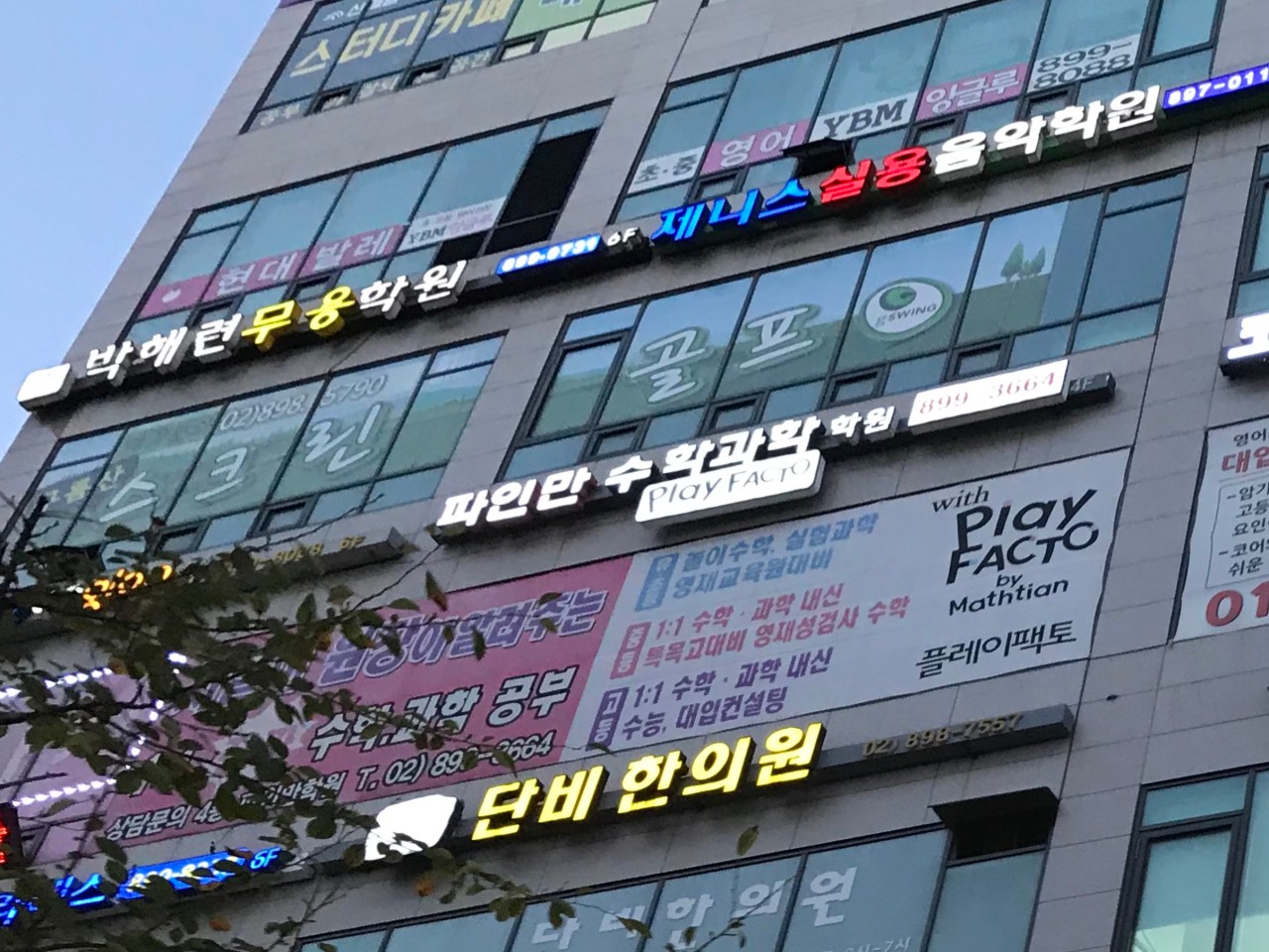 파인만수학과학학원 로고