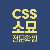 CSS소묘전문학원 로고