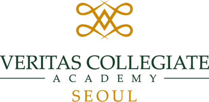 VCA서울 로고