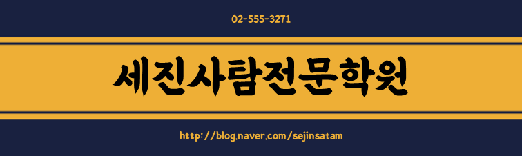 대치세진사탐전문학원 대치본원 로고