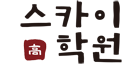 SKY학원 로고